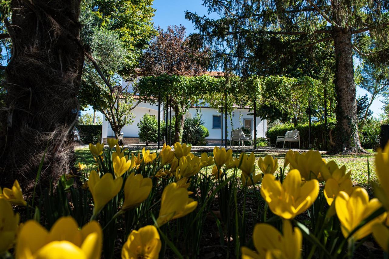Terre Etrusche Guest House Viterbo Exterior foto